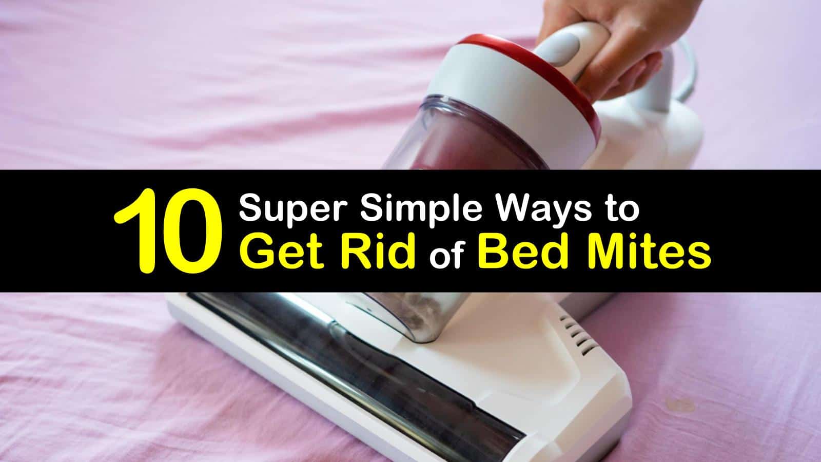 10 Super Simple Ways to Get Rid of Bed Mites