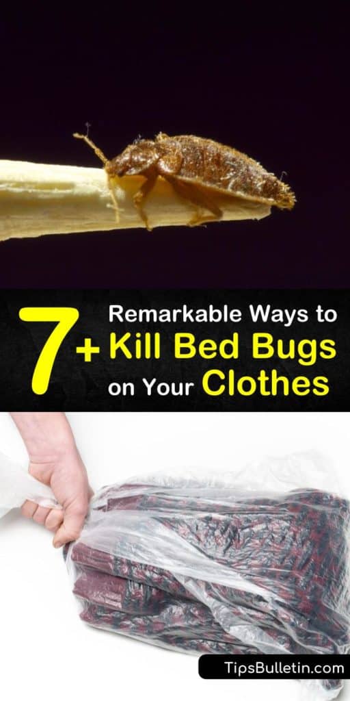 Learn what kills bed bugs on clothes to avoid a future bed bug infestation. Clean clothes are a must, and all you need is a washing machine set on high heat. No need to head to the laundromat! #howto #getridof #bedbugs #clothes