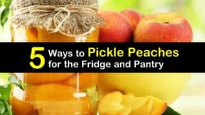 How to Pickle Peaches titleimg1