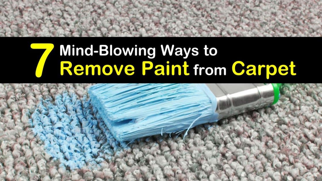7 MindBlowing Ways to Remove Paint from Carpet