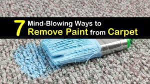 How to Remove Paint from Carpet titleimg1