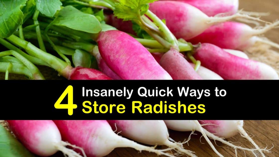 4 Insanely Quick Ways to Store Radishes