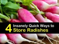 How to Store Radish titleimg1