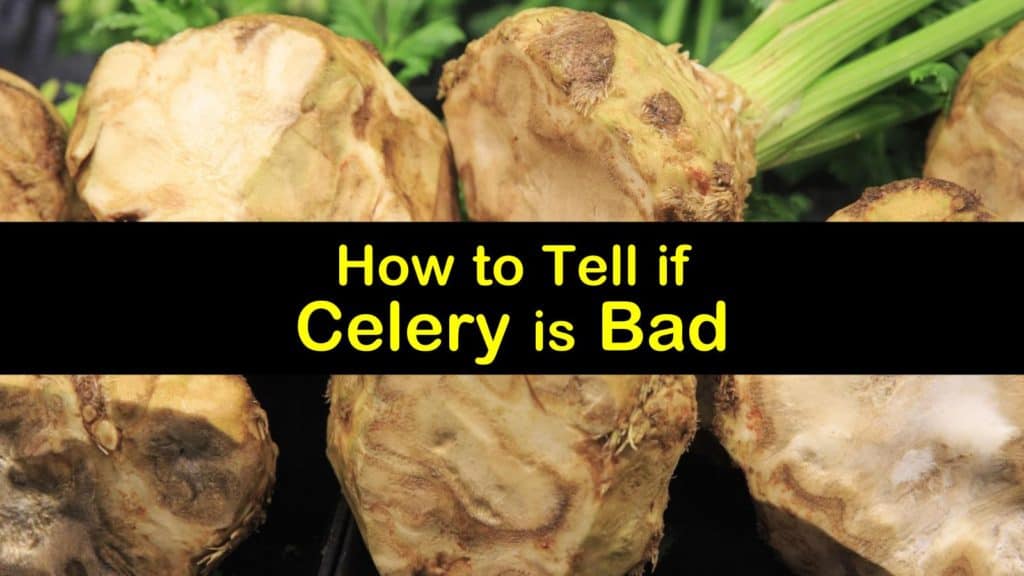 How to Tell if Celery is Bad titleimg1