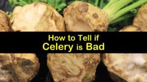 How to Tell if Celery is Bad titleimg1