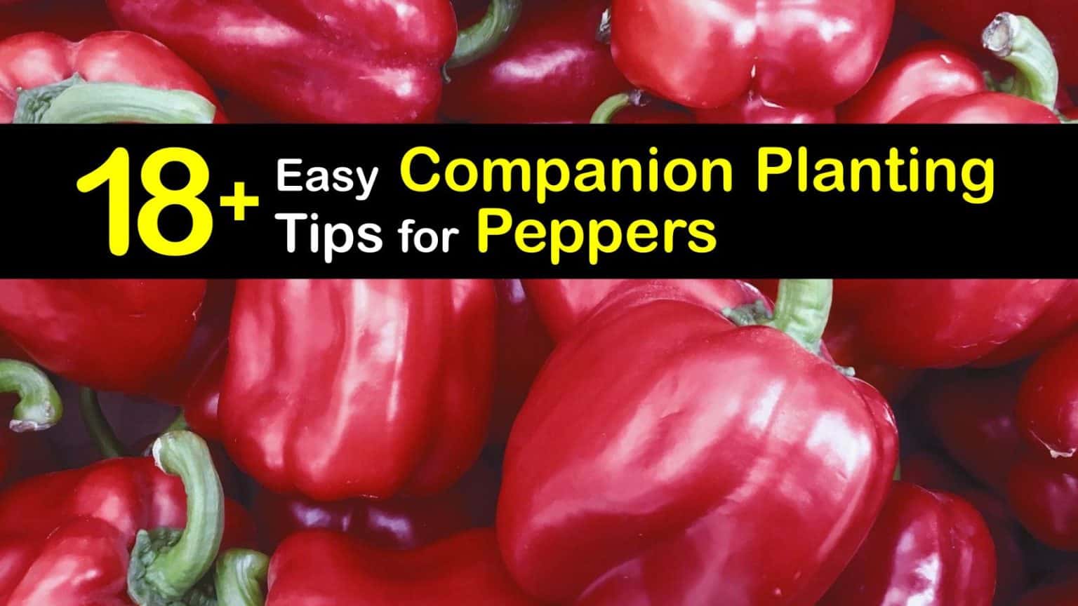 18+ Easy Companion Planting Tips for Peppers