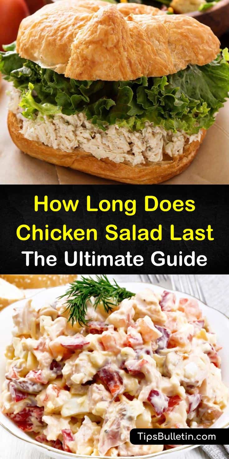 How Long Chicken Salad Lasts The Ultimate Guide