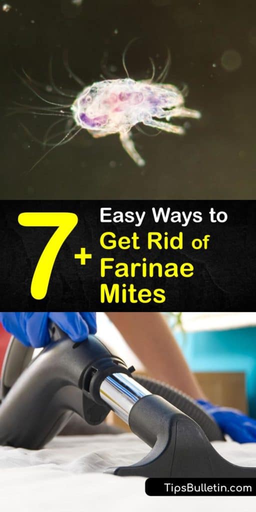 Reduce your allergic reactions like sneezing by eliminating house dust mites. Washing your pillowcases and other washable items with hot water kill farinae mites. Another way to cure a dust mite allergy is to use a HEPA filter on your dehumidifier. #howto #getridof #dust #mites #farinae