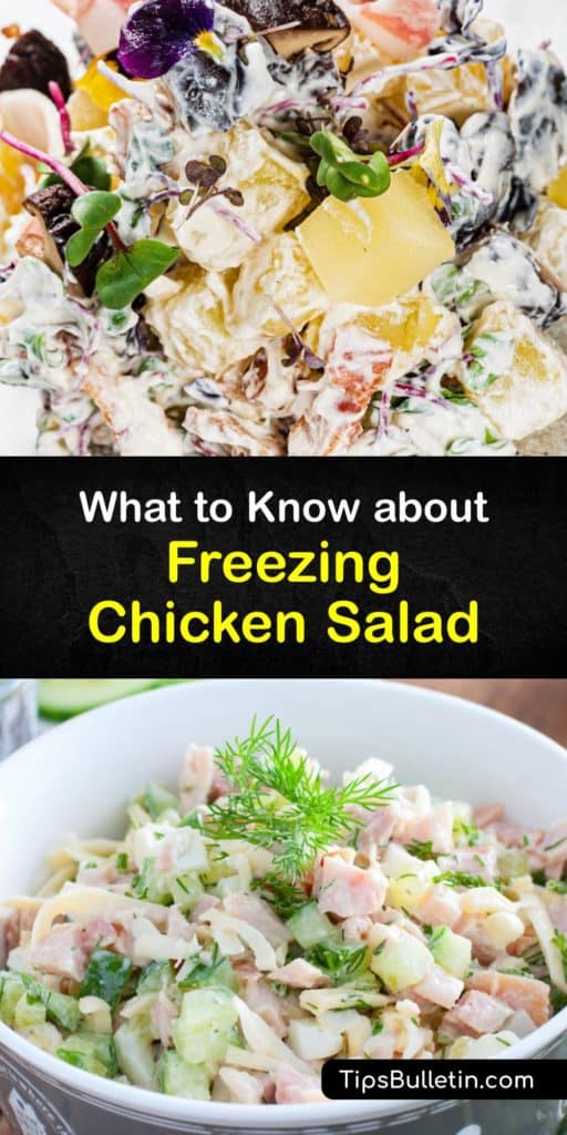 Make a delicious chicken salad recipe with cooked chicken and salad dressing and learn how to preserve and defrost frozen chicken salad at room temperature. Smart steps like removing excess liquid and excess air are simple food safety tips that keep your favorite foods fresh. #freeze #chicken #salad