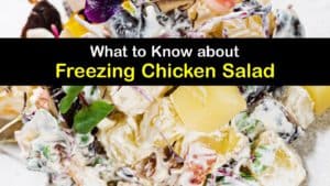 Can You Freeze Chicken Salad titleimg1