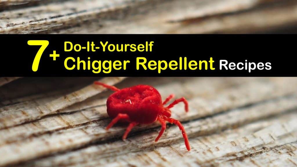 Homemade Chigger Repellent titleimg1