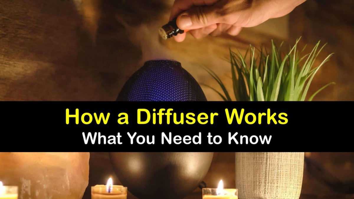 How a Diffuser Works What You Need to Know
