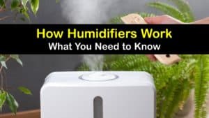 How does a Humidifier Work titleimg1