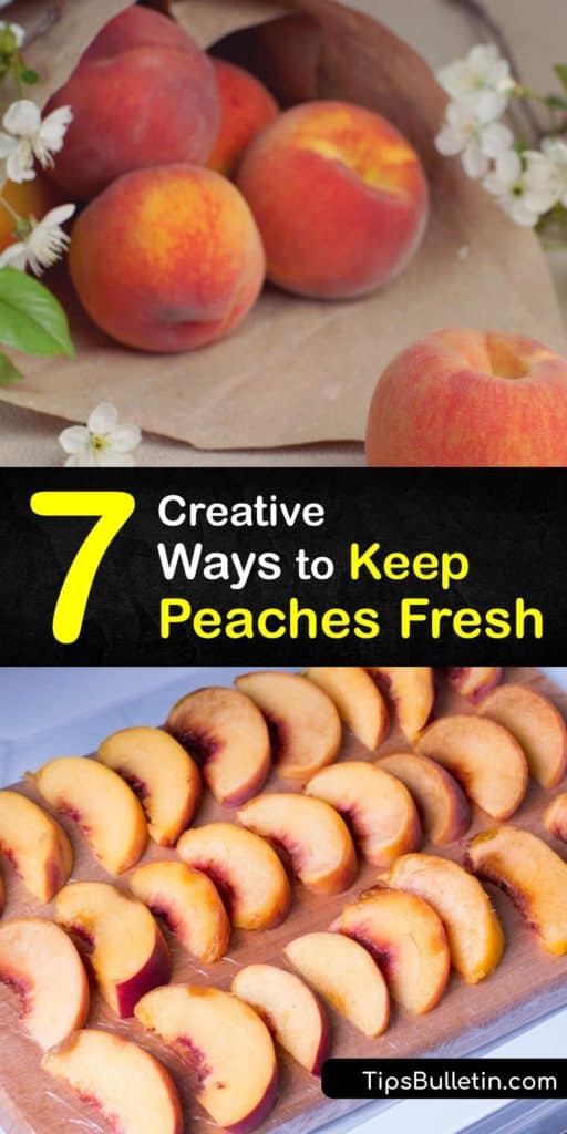 Learn the ripening process of peaches, how to freeze peaches, and how to store-peaches. Keep your peaches out of room temperature. Sprinkle lemon juice on slices before you freeze peaches. Maintain the ripeness of the fruit by storing them in freezer bags before refrigerating. #keep #peaches #fresh