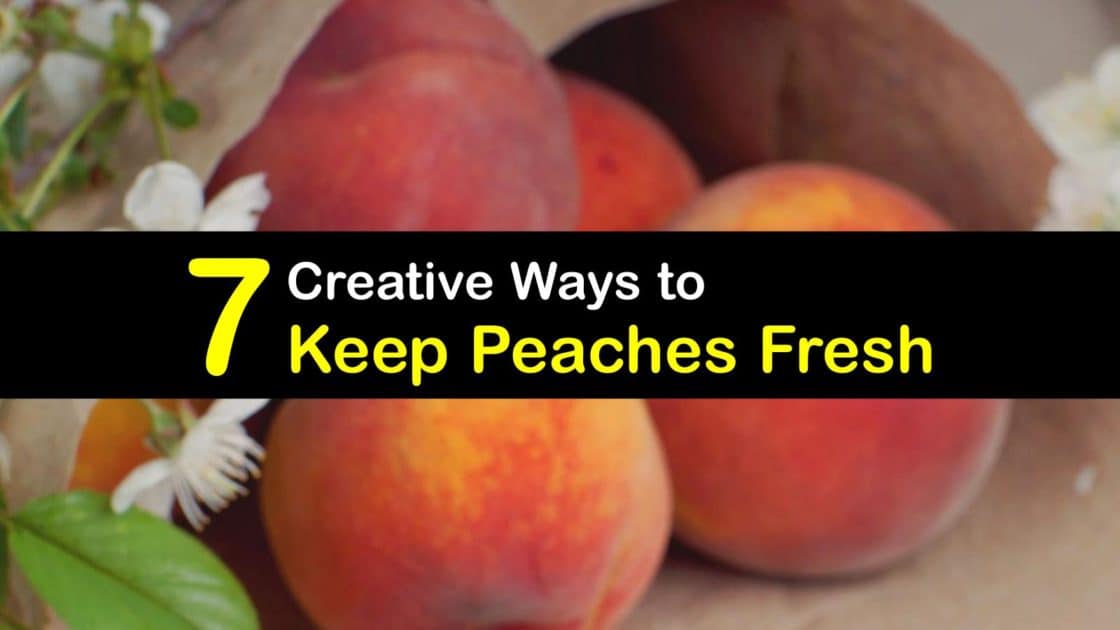7 Creative Ways to Keep Peaches Fresh