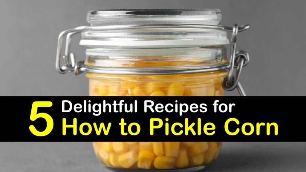 How to Pickle Corn titleimg1