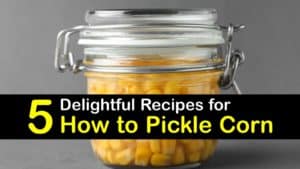 How to Pickle Corn titleimg1