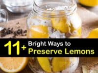 How to Preserve Lemons titleimg1