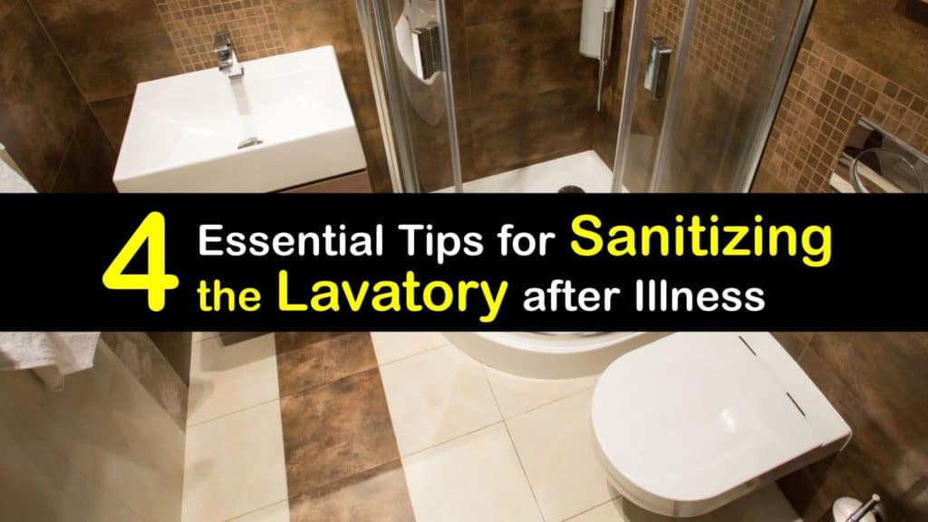 Sanitize the Lavatory titleimg1