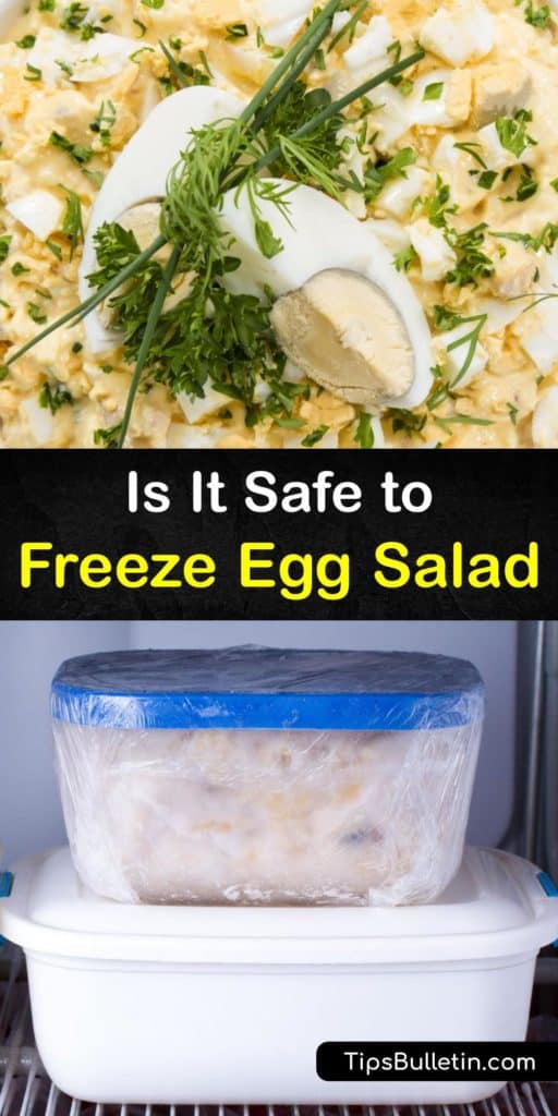 Learn about freezing egg salad and thawing it safely. Make egg salad last longer by freezing it in an airtight container, but always check for signs of spoilage. Use our egg salad recipe with chives to make a classic sandwich filling or side dish. #freezing #egg #salad