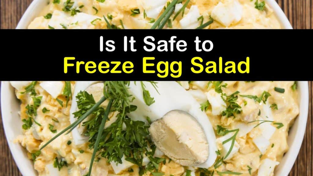 Can You Freeze Egg Salad titleimg1