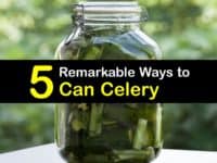 Canning Celery titleimg1