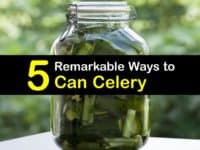 Canning Celery titleimg1