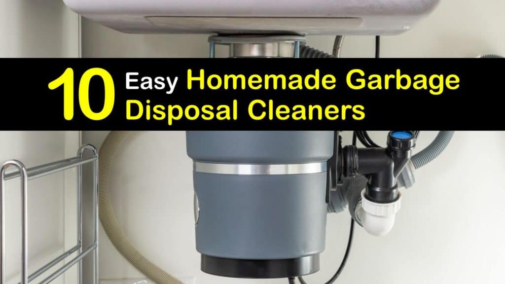 Homemade Garbage Disposal Cleaner titleimg1