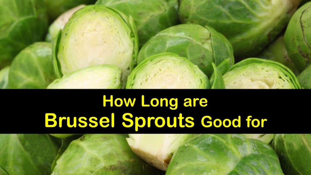 How Long are Brussels Sprouts Good for titleimg1