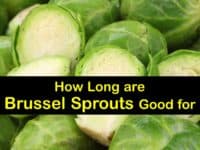 How Long are Brussels Sprouts Good for titleimg1