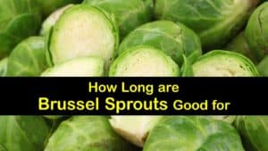 How Long are Brussels Sprouts Good for titleimg1