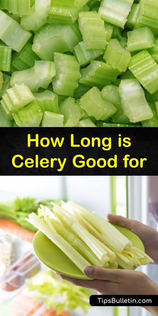 Find out the answer to "How long does celery last?" Learn how to keep celery fresh in the fridge and how to blanch celery for freezing by boiling it then cooling it in ice water. Keep celery stalks crispy and extend their shelf life with this celery know-how. #celery #howlong #last