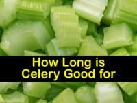 How Long is Celery Good for titleimg1