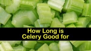 How Long is Celery Good for titleimg1