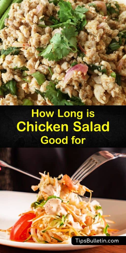 Find out how to store chicken and tuna salad for the best food safety practices. Keep Leftover chicken salad from a deli in an airtight container for low moisture levels. Keeping chicken salad at room temperature increases bacteria growth, making it unsafe to eat. #how long #chicken #salad #lasts