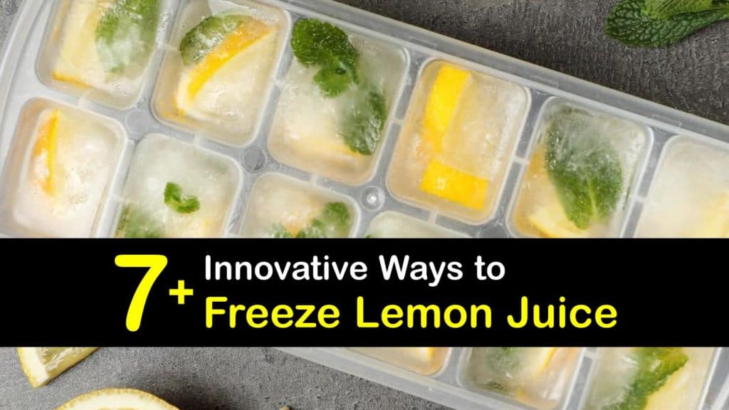 How to Freeze Lemon Juice titleimg1