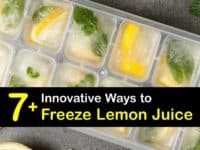 How to Freeze Lemon Juice titleimg1
