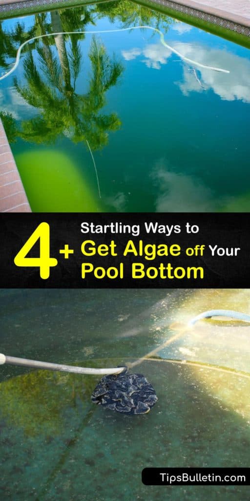 Find out the best ways to get dead algae off the bottom of the pool. Black algae is the hardest to eliminate. Learn the importance of regularly cleaning your pool filter and checking pH, calcium, and chlorine levels to prevent pool algae from developing. #getridof #algae #pool #bottom