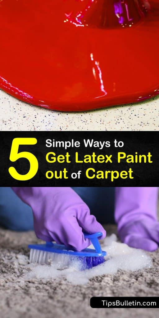 Find out how to get wet and dried latex paint out of a carpet. Remove paint stains from your carpet by blotting with paper towels or a rag dipped in acetone, saturating the stain with hot water, or making a cleaning solution from dish soap and warm water. #remove #latex #paint #carpet