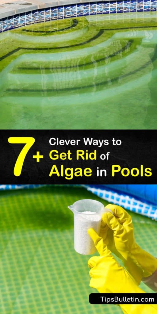 Discover how to keep your swimming pool free of algae by taking the right steps to eliminate and prevent it. Pool owners agree that the best way to kill green algae or mustard algae in your pool water is to maintain the chlorine levels and use a sanitizer. #howto #getridof #algae #pool