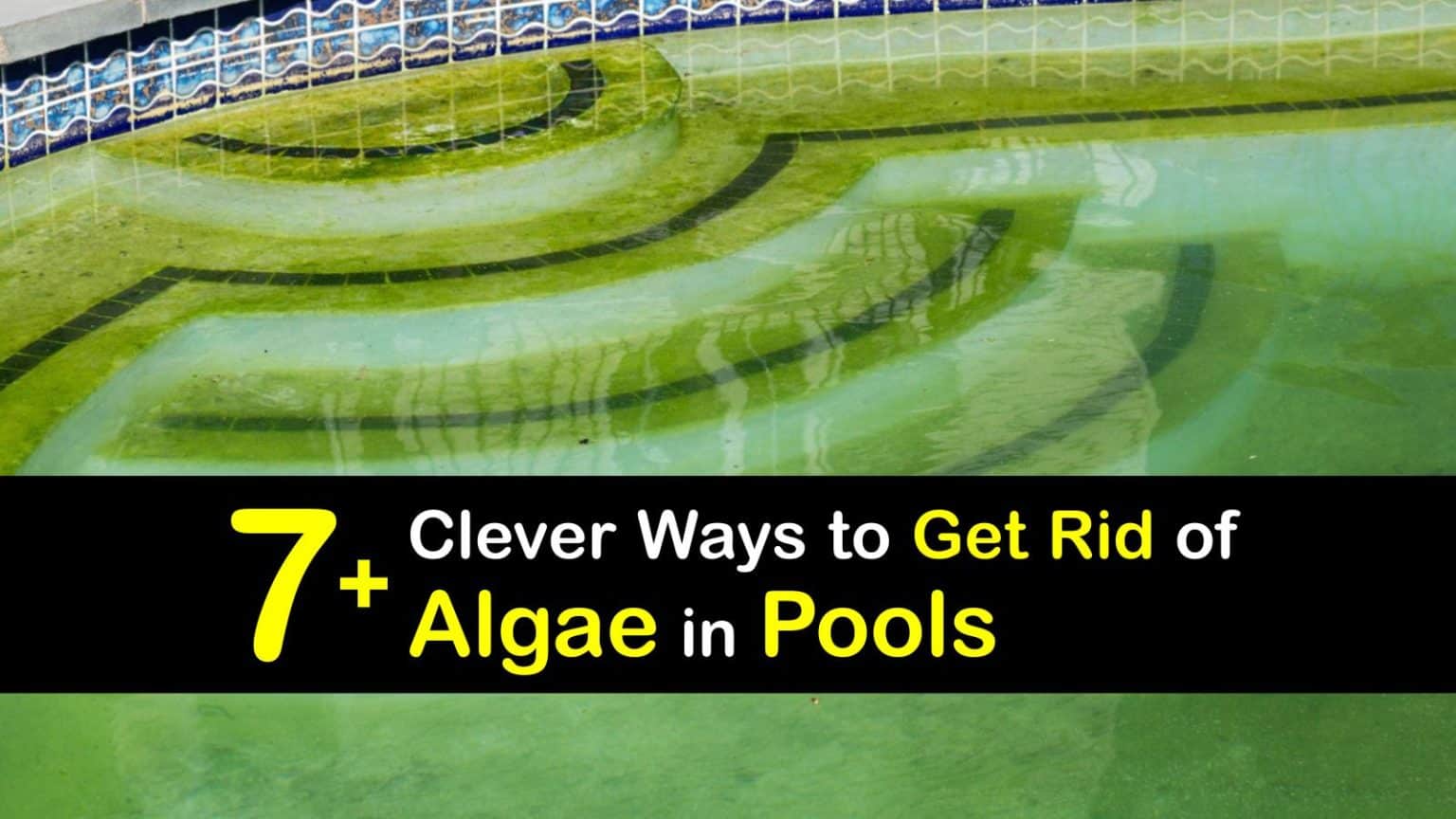 best way to kill green algae in pool