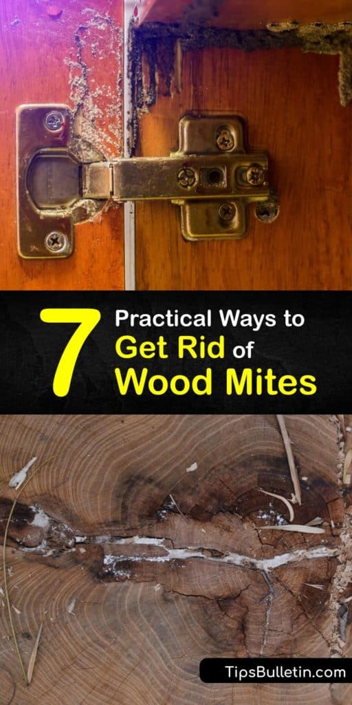 Find out how to eliminate a mite infestation naturally. Wood mites are tiny white bugs like spider mites and dust mites. While wood mites are less bothersome than termites, they transport allergens around the house that cause allergic reactions in some people. #howto #getridof #wood #mites