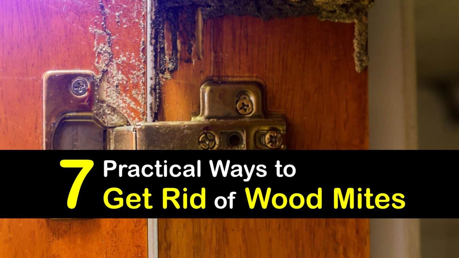 7 Practical Ways to Get Rid of Wood Mites