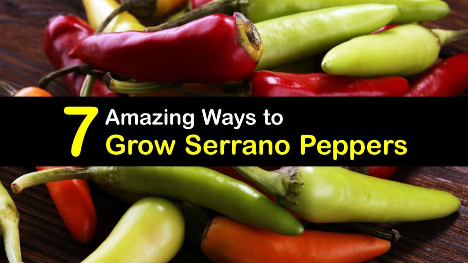 7 Amazing Ways to Grow Serrano Peppers