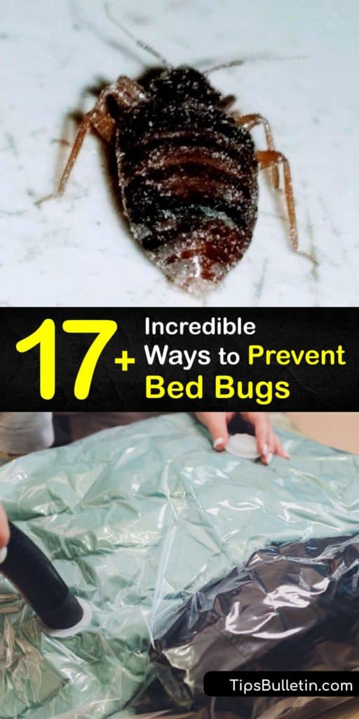 Implement your own pest control techniques with these tips to repel and kill bed bugs. Find their hiding places, learn how to check crevices on bed frames and a headboard, and wrap your mattresses in encasements that keep bed bugs out of your personal space. #howto #prevent #bed #bugs