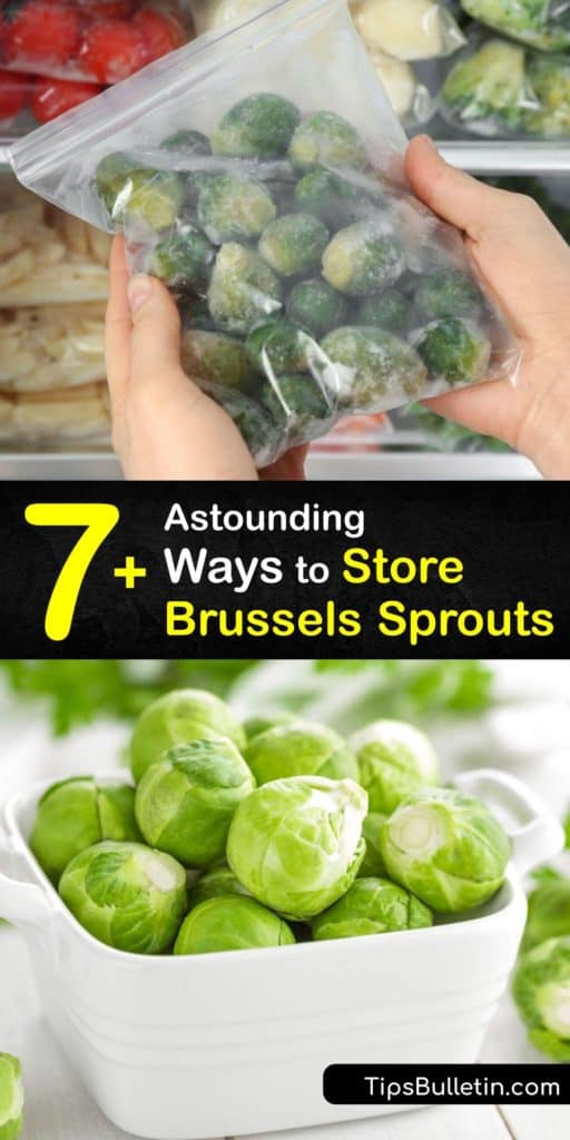 Before storing veggies like Brussels sprouts, you must blanch the sprouts with boiling water and cold water to shock them. Freeze Brussels sprouts on a baking sheet before transferring them into freezer bags or an airtight container. #howto #store #Brussels #sprouts