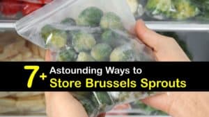 How to Store Brussels Sprouts titleimg1
