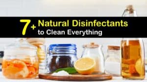 Natural Disinfectant Cleaner titleimg1