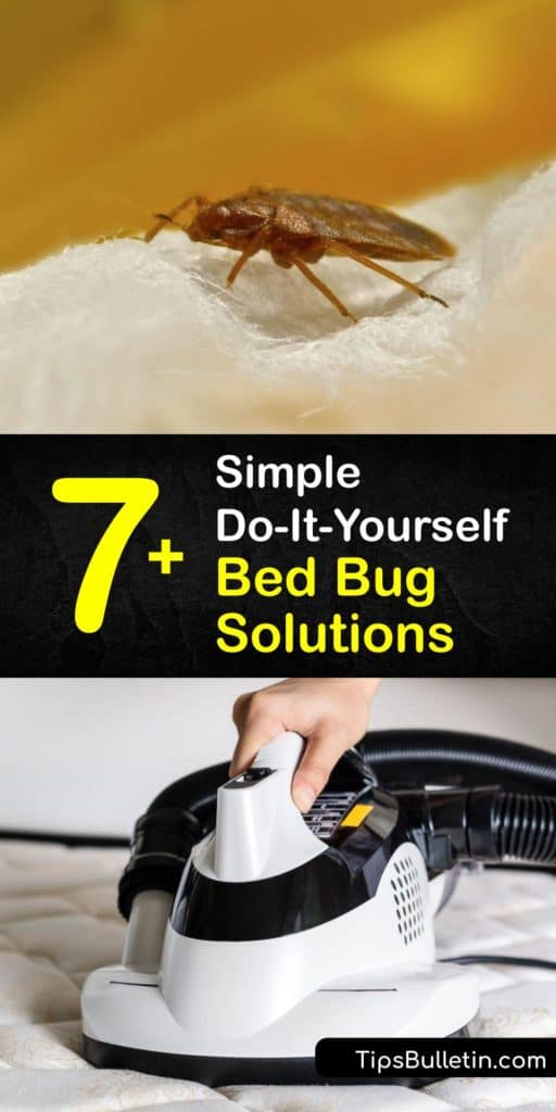 Handle a bed bug infestation like a pro with these simple bed bug solutions proven to kill bed bugs and keep them away for good. Check behind the bed frame, along baseboards, and for signs of bed bug bites with these bed bug control tips that exterminators use. #bed #bug #solutions
