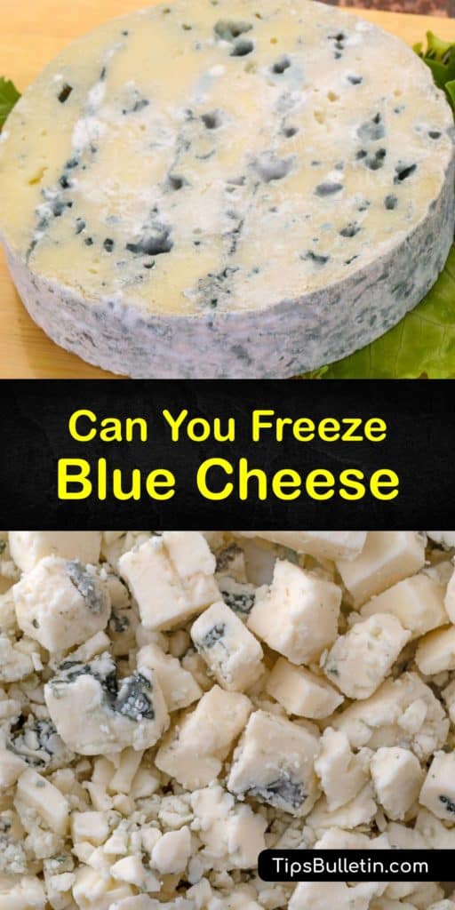 Learn the difference between Brie, Camembert, and blue cheese crumbles. For the best quality blue cheese, you must know how to use plastic wrap or an airtight container to freeze the cheese. After thawing frozen blue cheese, it tastes best in cooked dishes. #howto #freeze #blue #cheese